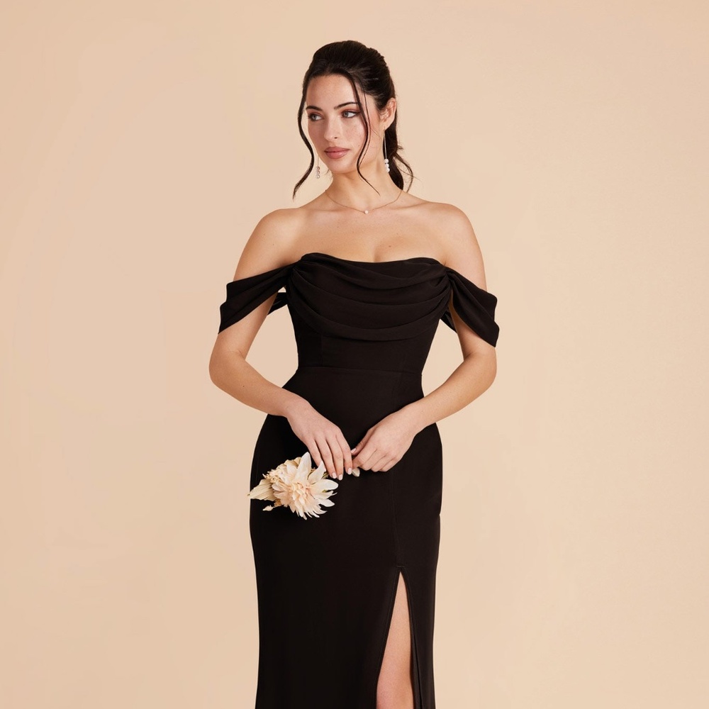 Birdy Grey - Mira Chiffon Dress in Black (NWT & Unaltered)